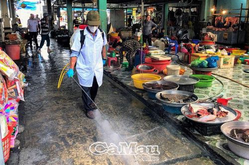 Chủ động phòng bệnh cúm gia cầm