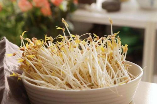 3 loại giá đỗ rẻ bèo, ăn vào bổ gan, thông huyết