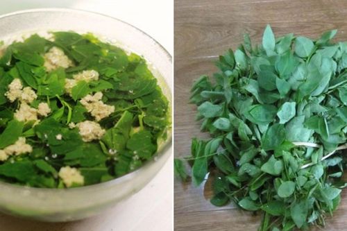 Ai không nên ăn nhiều rau ngót?