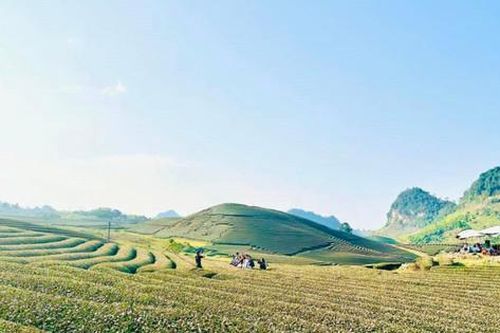 Mộc Châu được công nhận là Khu du lịch quốc gia