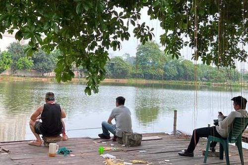 Hà Nội: Khoanh vùng khu vực hồ phát hiện cá sấu để điều tra