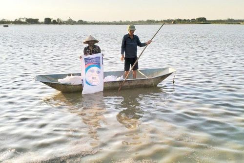 Khi nhà khoa học, nhà quản lý đồng hành với nhà nông