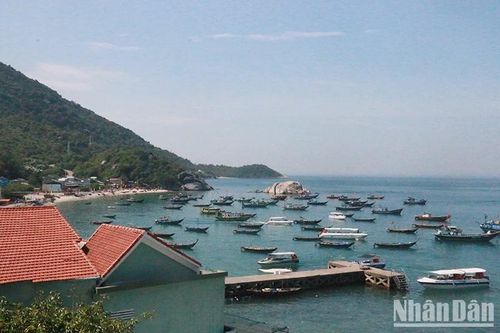 Dành hơn 129 tỷ đồng cho dự án thành lập Khu bảo tồn thiên nhiên Cù Lao Chàm