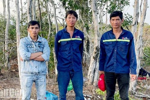 Bắt 3 đối tượng phá hơn 2.000m2 đất rừng ở Phú Quốc