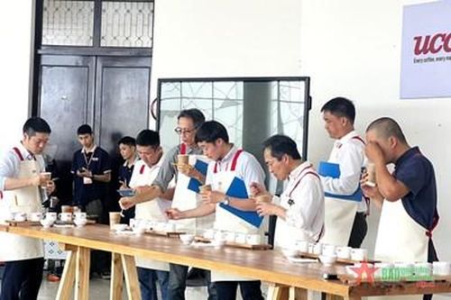 Các nông hộ trồng cà phê đặc sản tranh tài tại Đà Lạt