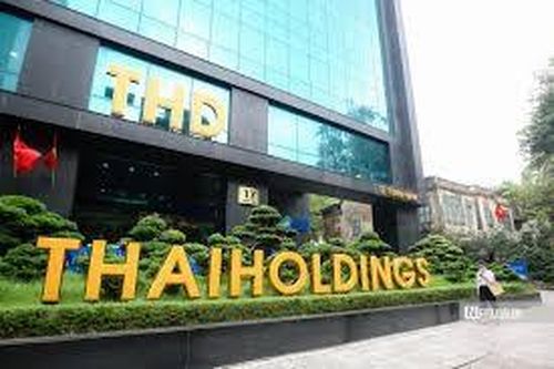 Không chia cổ tức, Thaiholdings 'ôm' vốn chờ M&A bất động sản