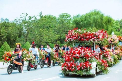 Lễ hội Hoa hồng Fansipan 2024: Trải nghiệm lý tưởng cho kỳ nghỉ lễ 30/4 - 1/5