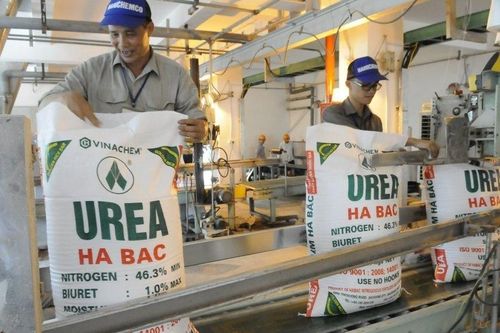 Kỳ IV: Doanh nghiệp phân bón 'than khó' vì bất cập thuế