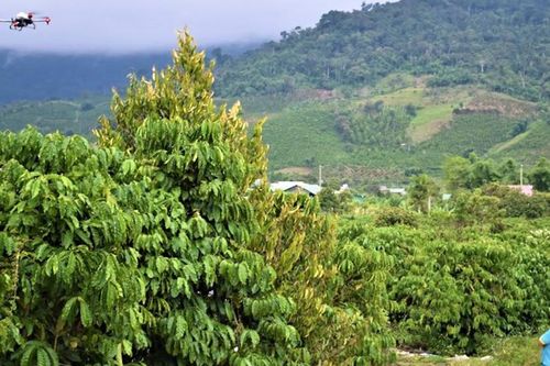 Lâm Đồng thúc đẩy chuyển đổi số trong sản xuất nông nghiệp