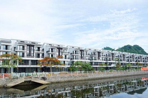 Vinaconex tiếp tục bơm vốn, không rút khỏi 'siêu dự án' Cát Bà Amatina