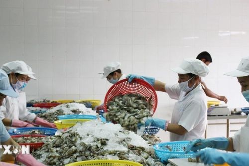 Kết nối giao thương giữa doanh nghiệp tỉnh Cà Mau và doanh nghiệp Trung Quốc