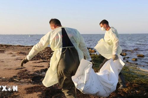 Tunisia tìm thấy 19 thi thể người di cư ngoài khơi bờ biển ở Mahdia và Sfax