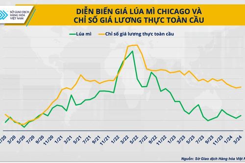 Giá lúa mì - một chỉ báo rủi ro của thị trường nông sản từ các cuộc xung đột
