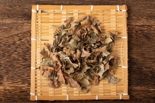 Thứ lá tưởng bỏ đi, ai ngờ công dụng 'vàng 10' phơi khô đem bán 90.000 đồng/kg
