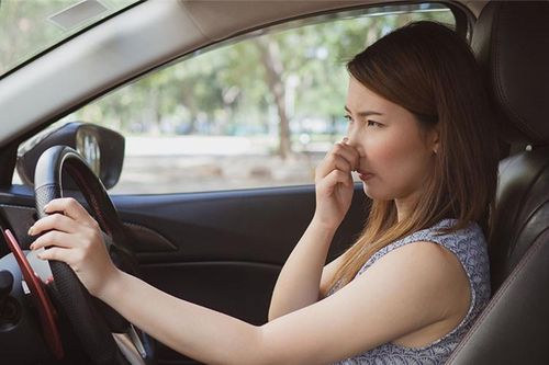 Mẹo vặt xử lý mùi hôi và nấm mốc trong xe ô tô hiệu quả tức thì cho xe sạch thơm cả ngày