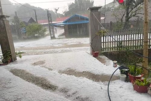 Sơn La: Mưa đá gây thiệt hại lớn về hoa màu