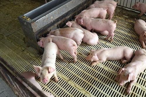 Kết quả kiểm kê khí nhà kính cần được thẩm định bởi đơn vị độc lập