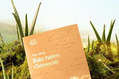 Generali chung tay góp 50.000 cây giống cho đồng bào Raglai