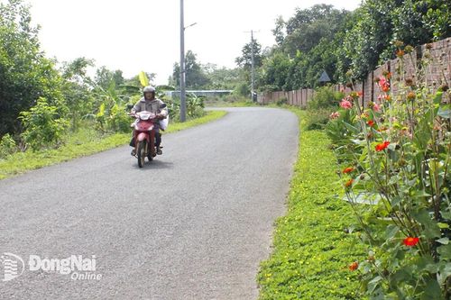 Huy động mọi nguồn lực đầu tư cho hạ tầng giao thông nông thôn