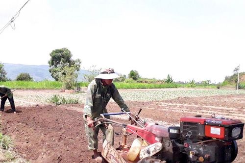 Chủ động theo dõi thời tiết để điều chỉnh lịch thời vụ cho phù hợp