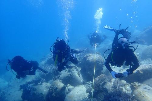 Nỗ lực phục hồi hệ sinh thái vịnh Nha Trang