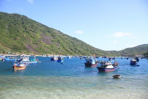 Hướng tới tạo sinh kế bền vững cho người dân