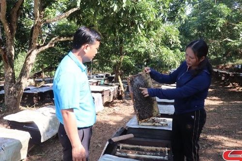 Nữ bí thư chi bộ, trưởng bản gương mẫu
