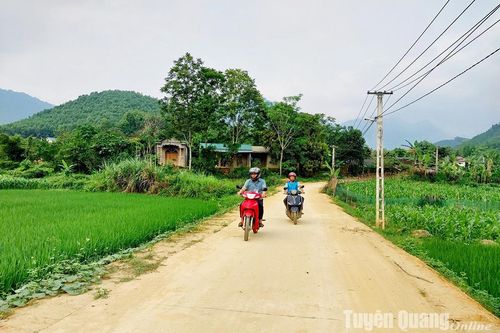 'Đòn bẩy' để Minh Hương vươn lên