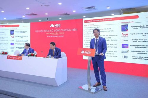 Ngân hàng MSB: Để ngỏ phương án bán vốn cho đối tác ngoại, mục tiêu lãi năm nay tăng 17%