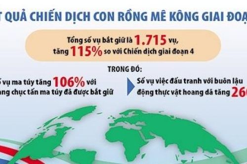 Hợp tác toàn cầu, tạo 'vòng khép kín' để đấu tranh với tội phạm xuyên biên giới