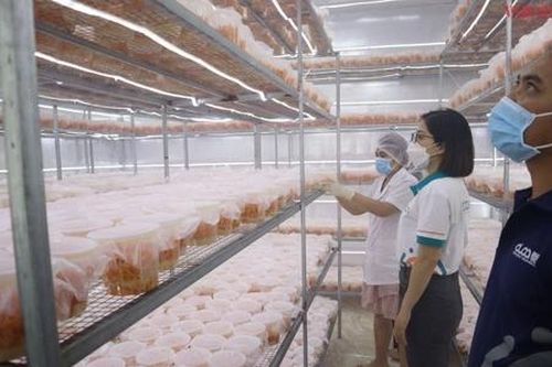 HTX ứng dụng công nghệ cao nâng cao giá trị sản phẩm