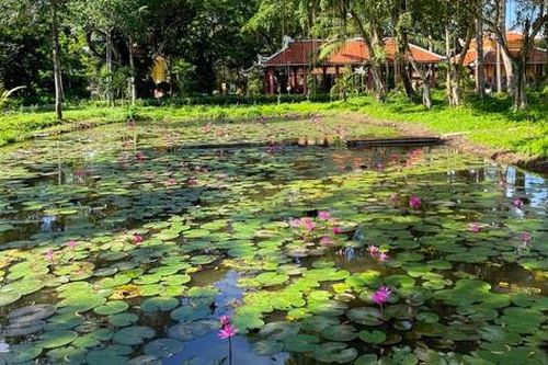 Gò Tháp - Bông sen hồng của Đồng Tháp Mười