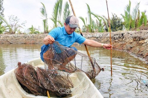 Về nơi trắng hộ nghèo