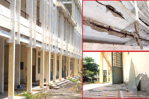 Trường học rộng nghìn m2 trên đất vàng ở Đà Nẵng bỏ không nhiều năm