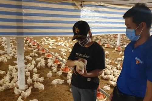 Huyện Ba Vì: Hơn 200 nông dân được tư vấn về khoa học kỹ thuật