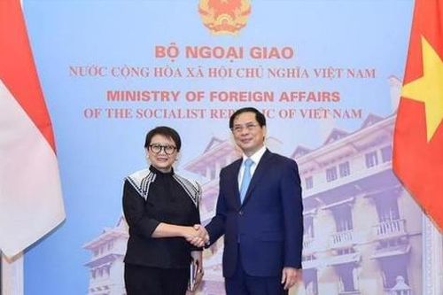 Tạo điều kiện thuận lợi cho doanh nghiệp Việt Nam và Indonesia đa dạng hóa đầu tư