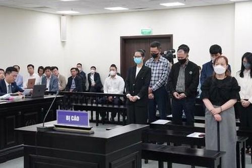 Vụ nữ cựu Chủ tịch Vimedimex: Trả hồ sơ, yêu cầu xem xét trách nhiệm một số cán bộ