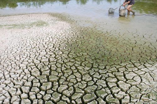 Hạn hán có thể kéo dài đến giữa tháng 5/2024