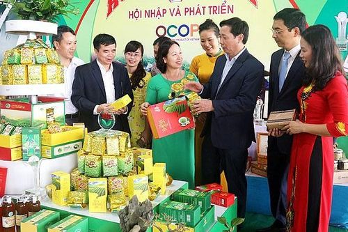 Thành lập Trung tâm Xúc tiến Đầu tư, Thương mại và Hỗ trợ doanh nghiệp tỉnh Thừa Thiên Huế