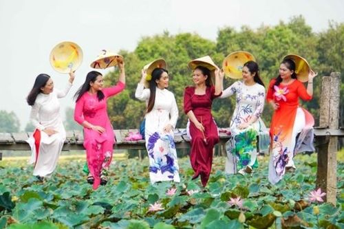 Lễ hội Sen Đồng Tháp năm 2024 sẽ có nhiều hoạt động nhất từ trước đến nay