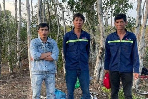 Bắt 3 đối tượng phá hàng nghìn mét vuông rừng ở Phú Quốc