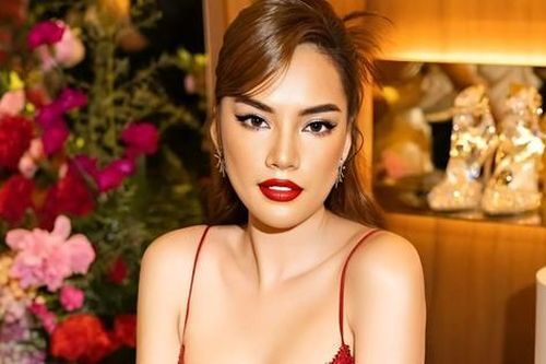 Ngừng phiên tòa tranh chấp liên quan đến Hoa hậu Lê Hoàng Phương