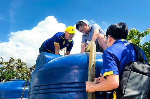Larue mang nước sinh hoạt về với Tiền Giang
