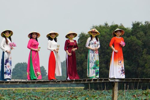 Nhiều hoạt động mới gây bất ngờ tại Lễ hội sen Đồng Tháp