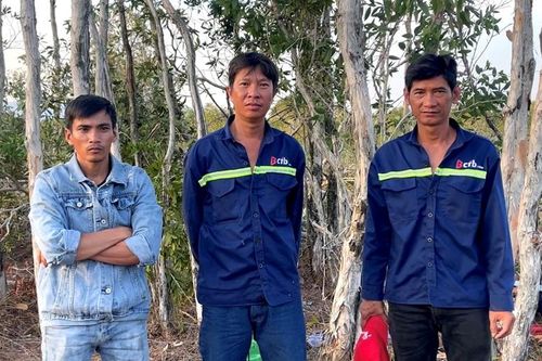 Bắt quả tang 3 đối tượng chặt phá rừng ở Phú Quốc