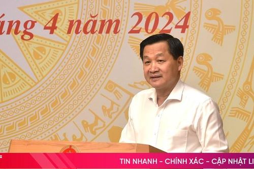 Tiếp tục đổi mới, nâng cao hiệu quả hoạt động của công ty nông, lâm nghiệp
