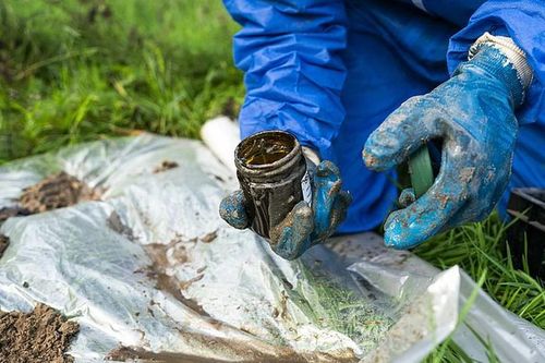 Các tổ chức môi trường Hà Lan kiện nhà nước vì ô nhiễm hóa chất vĩnh cửu
