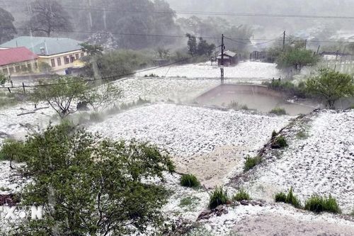 Sơn La: Dông lốc, mưa đá khiến 1 người tử vong và 3 người bị thương