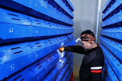 Anh nông dân kiếm hơn nửa tỷ/năm nhờ nuôi con vật 'hiền lành' trong hộp nhựa