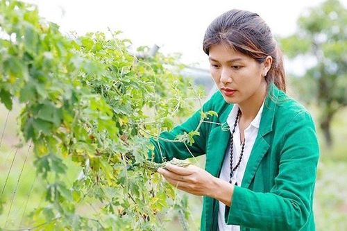 'Hoa hậu đông con nhất Việt Nam' đưa 6 con trở lại Tp.HCM sau 4 năm 'bỏ phố về rừng'